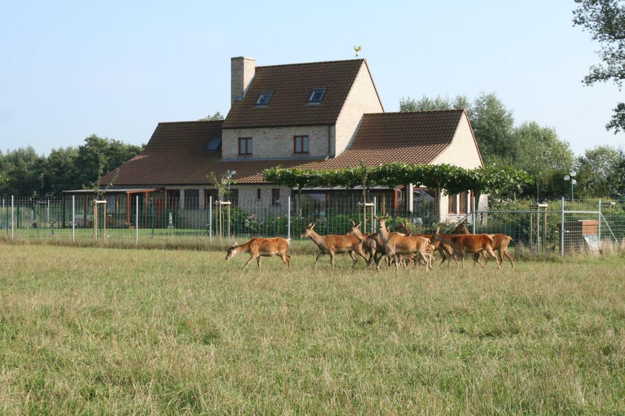 'T Leeg Huys Villa Lo-Reninge Bagian luar foto
